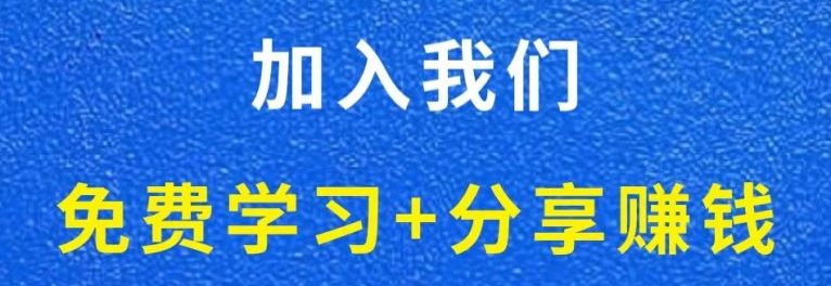 白菜价解锁20000+N个赚钱机会，加入灯任务会员，全站资源免费学习。-灯任务