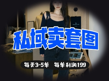 私域卖套图每天3-5单,每单利润99-灯任务