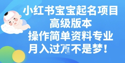 小红书宝宝起名项目高级版本,操作简单,资料专业,月入过W-灯任务