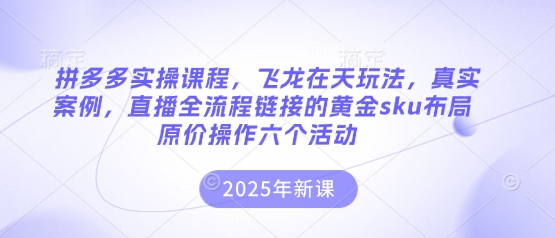 拼多多实操课程,飞龙在天玩法,真实案例,直播全流程链接的黄金sku布局原价操作六个活动-灯任务