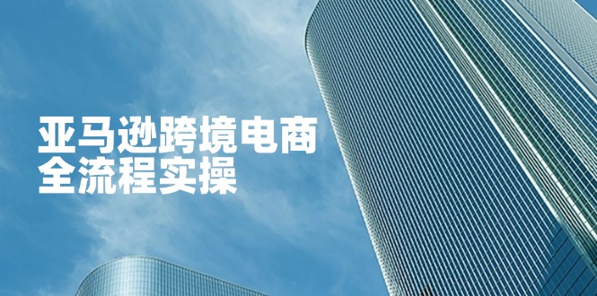 (14252期)亚马逊跨境电商全流程实操,教你从零开始,掌握店铺运营与广告技巧-灯任务