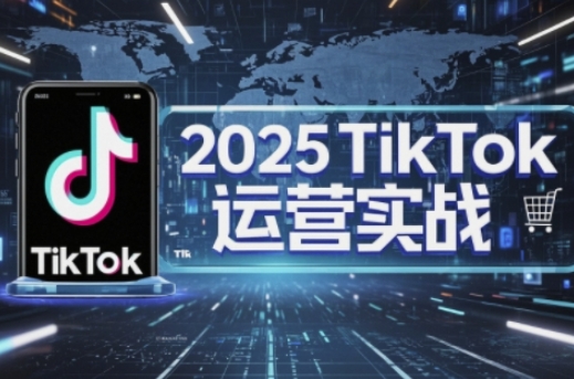 2025TikTok电商运营,掌握TikTok店铺运营核心技巧,实现低成本高转化-灯任务