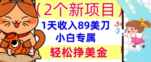 2个新项目,轻松挣美金, 1天收入89美刀,小白专属,干货分享-灯任务