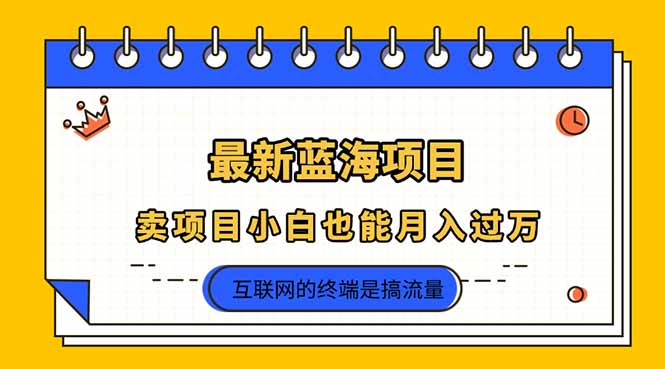 (14289期)2025年最新蓝海项目,卖项目小白也能月入过万-灯任务