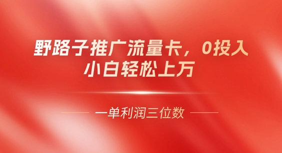 0门槛推广流量卡,一单收益上百,0投入,小白月入过W-灯任务