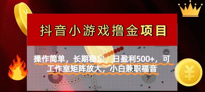 (14290期)【抖音小游戏发行人计划项目】操作简单,长期稳定,日盈利500+,可工作...-灯任务