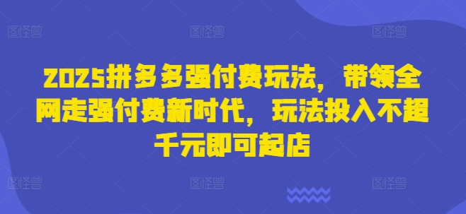 2025拼多多强付费玩法,带领全网走强付费新时代,玩法投入不超千元即可起店-灯任务