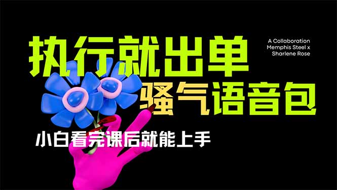 (14170期)爆火全网的开车导航骚气语音包,只要执行就出单,小白看完课程就能实操...-灯任务