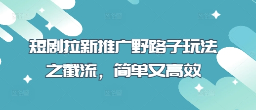 短剧拉新推广野路子玩法之截流,简单又高效-灯任务