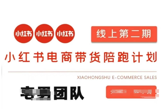 小红书电商带货课2期,月利润20个的小红书电商的有货源,无货源,虚拟产品,付费投流等整套玩法-灯任务